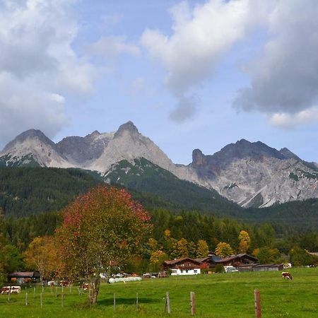 Appartement Herzog Saalfelden ภายนอก รูปภาพ